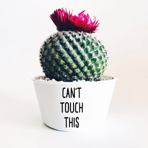 Can't Touch This Plant Pot Decal