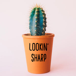 Lookin' Sharp Plant Pot Decal