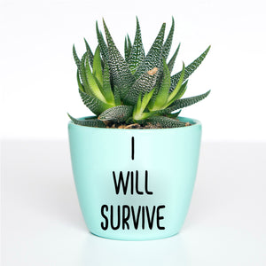 I Will Survive Sharp Plant Pot Decal