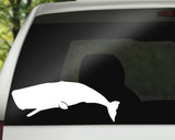 Whale Decal