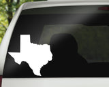 Texas State Decal