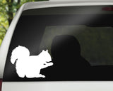 Squirrel Decal