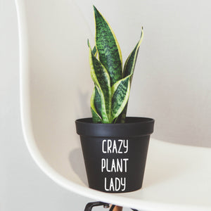Crazy Plant Lady Plant Pot Decal